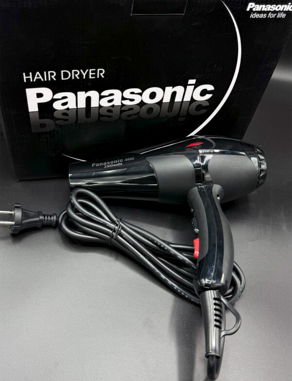 Panasonic Hair Dryer 6680